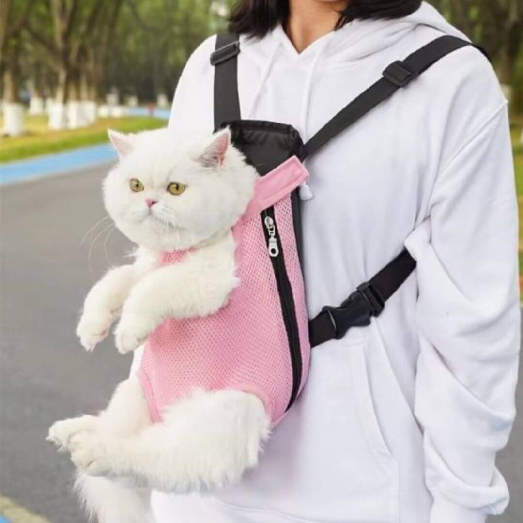 sac transport chat | sac kangourou - opaschats