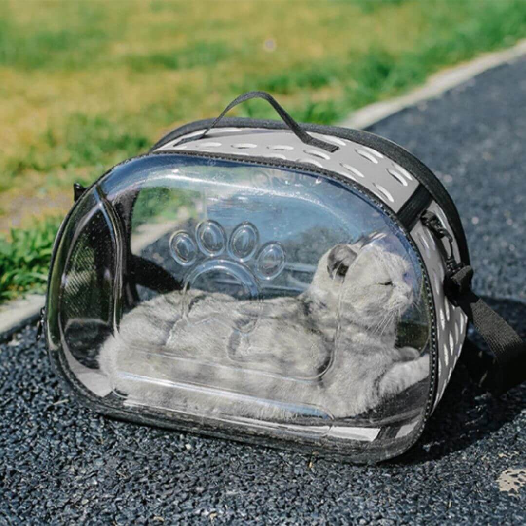 sac transport chat | transparent - opaschats