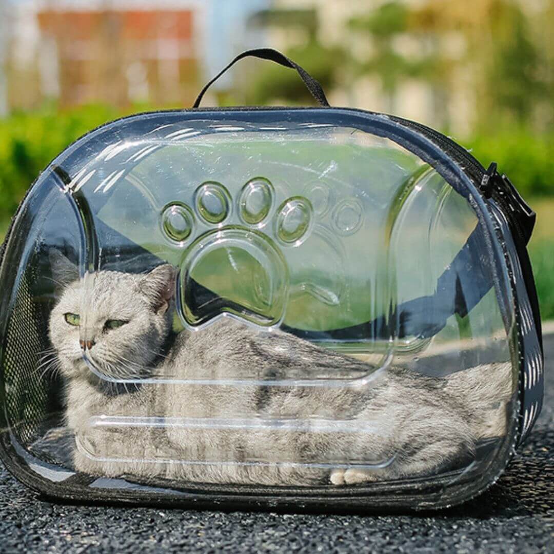 sac transport chat | transparent - opaschats