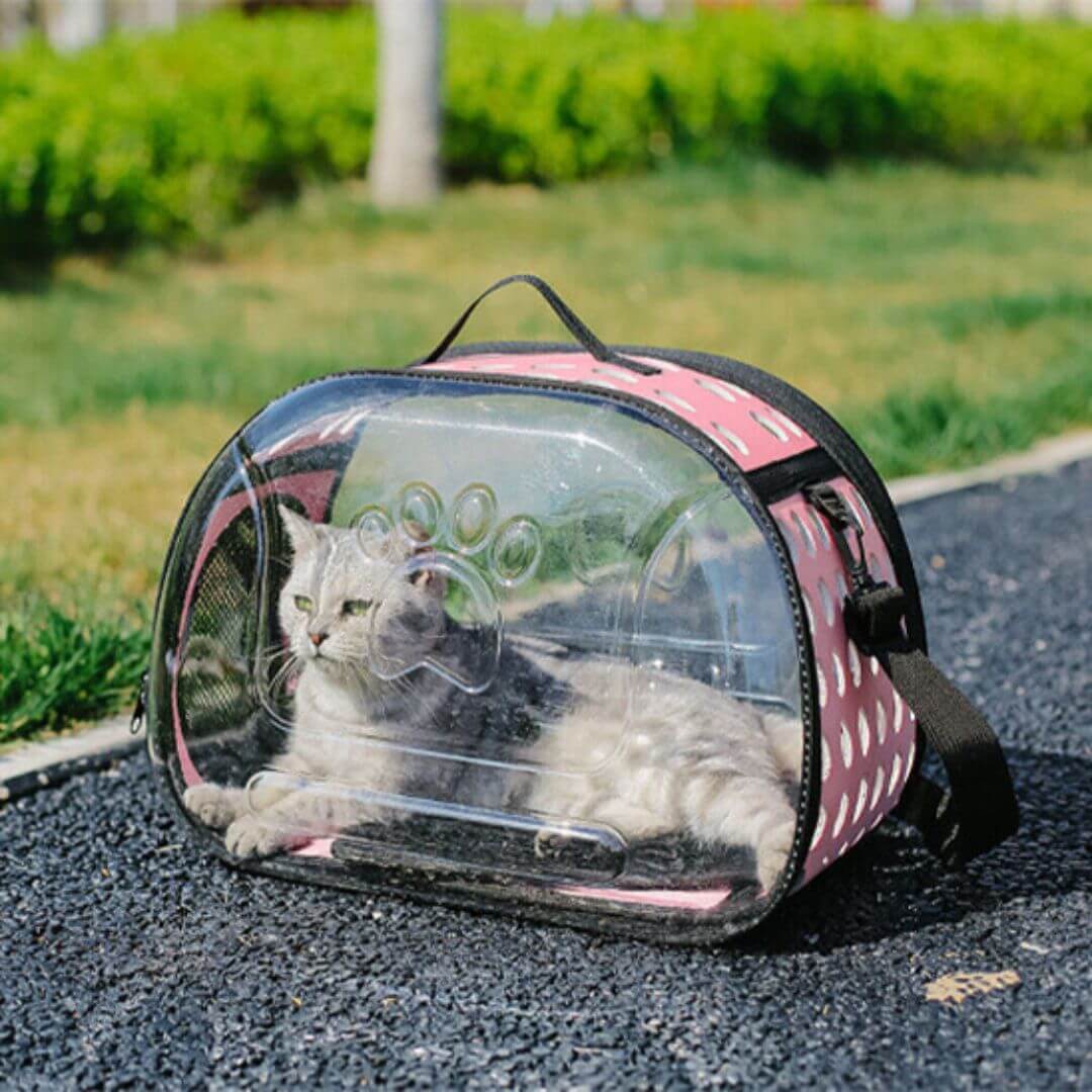 sac transport chat | transparent - opaschats