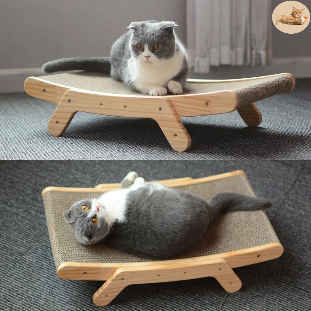griffoir | scratching postâą - Opaschats