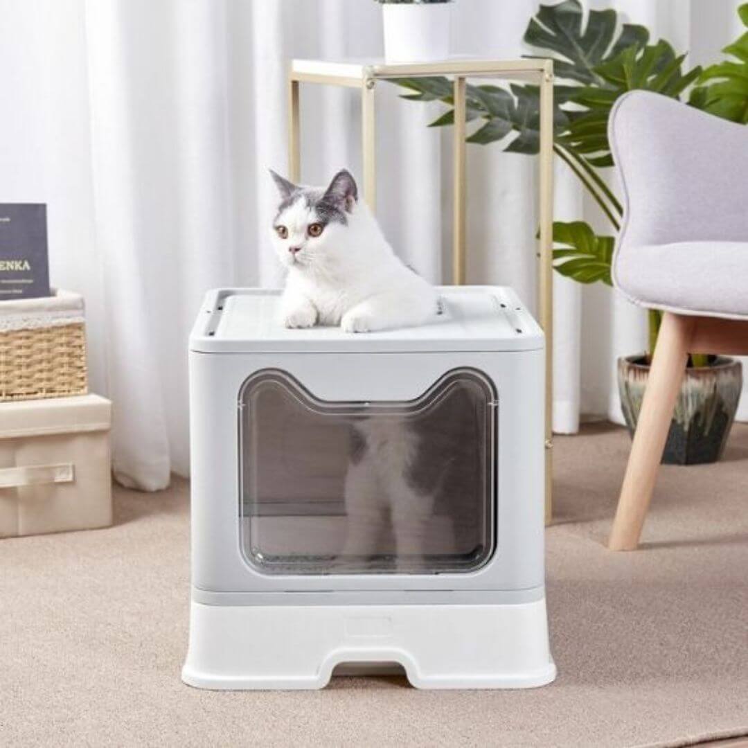 bac à litière chat | design - opaschats