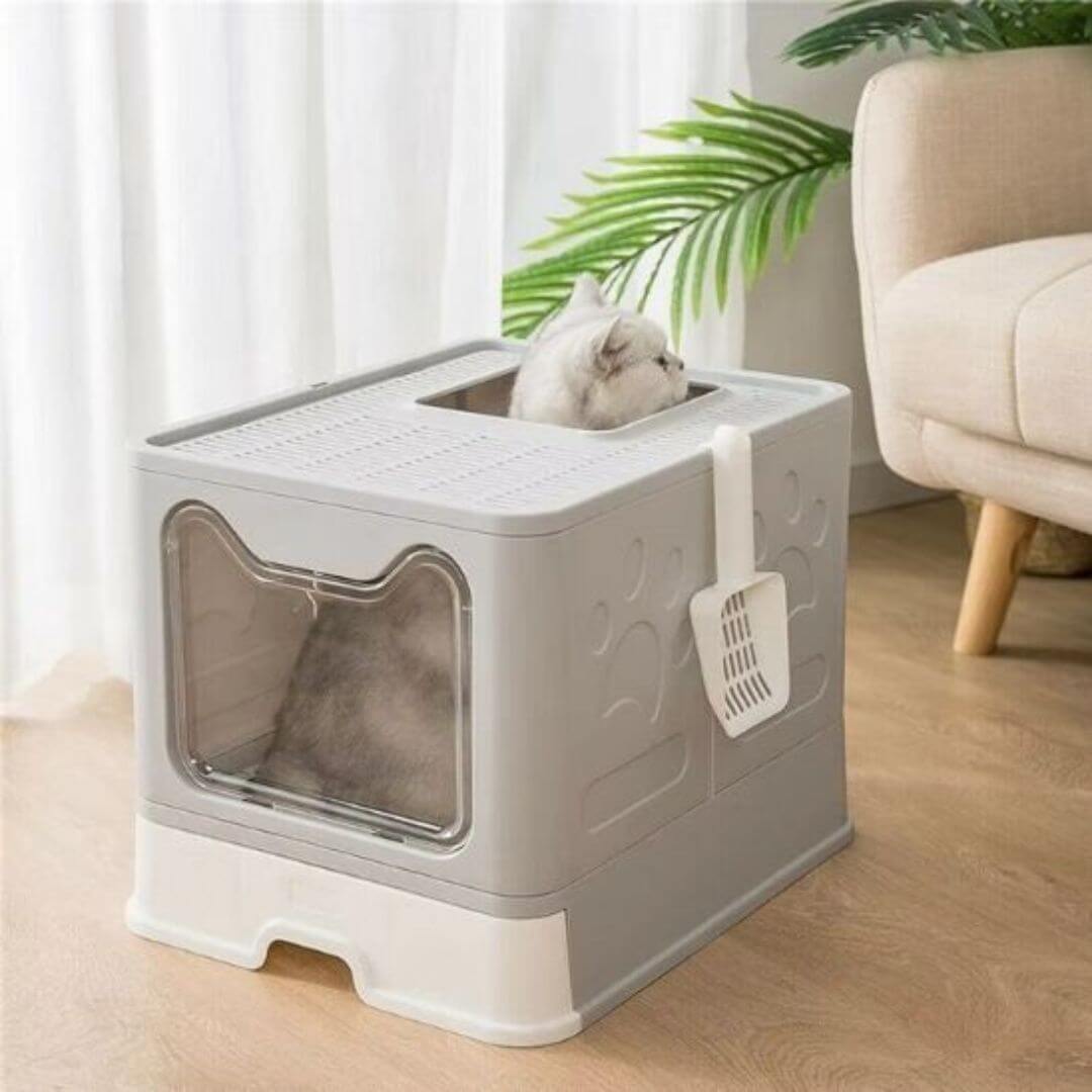 bac à litière chat | design - opaschats