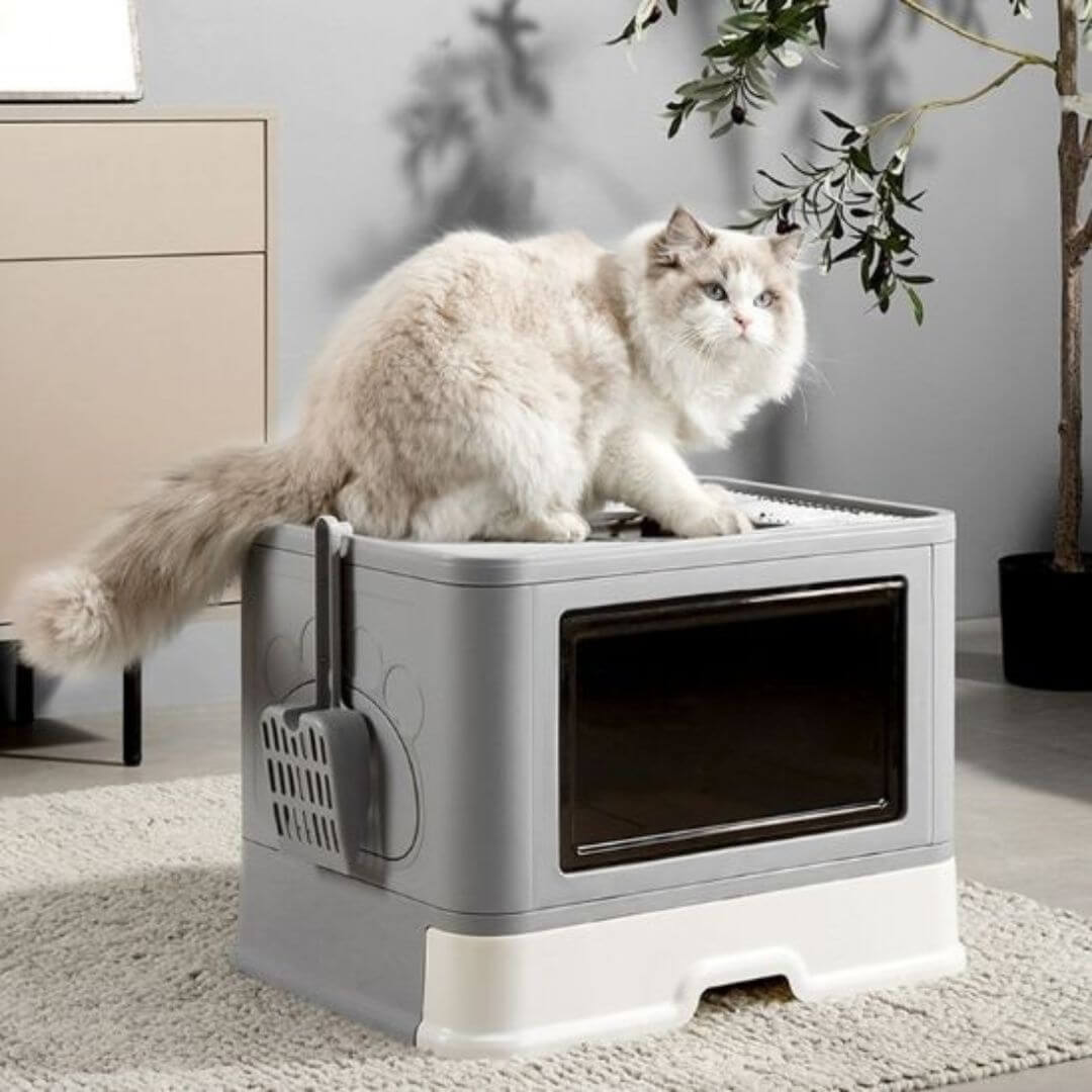 bac a litiere chat espace prive