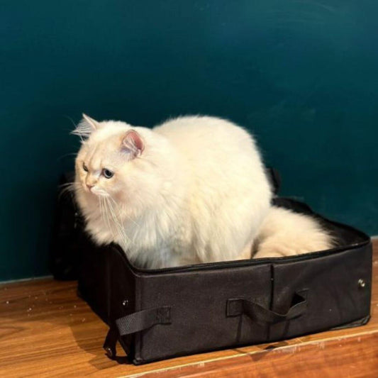 bac à litière chat | litière nomade - opaschats