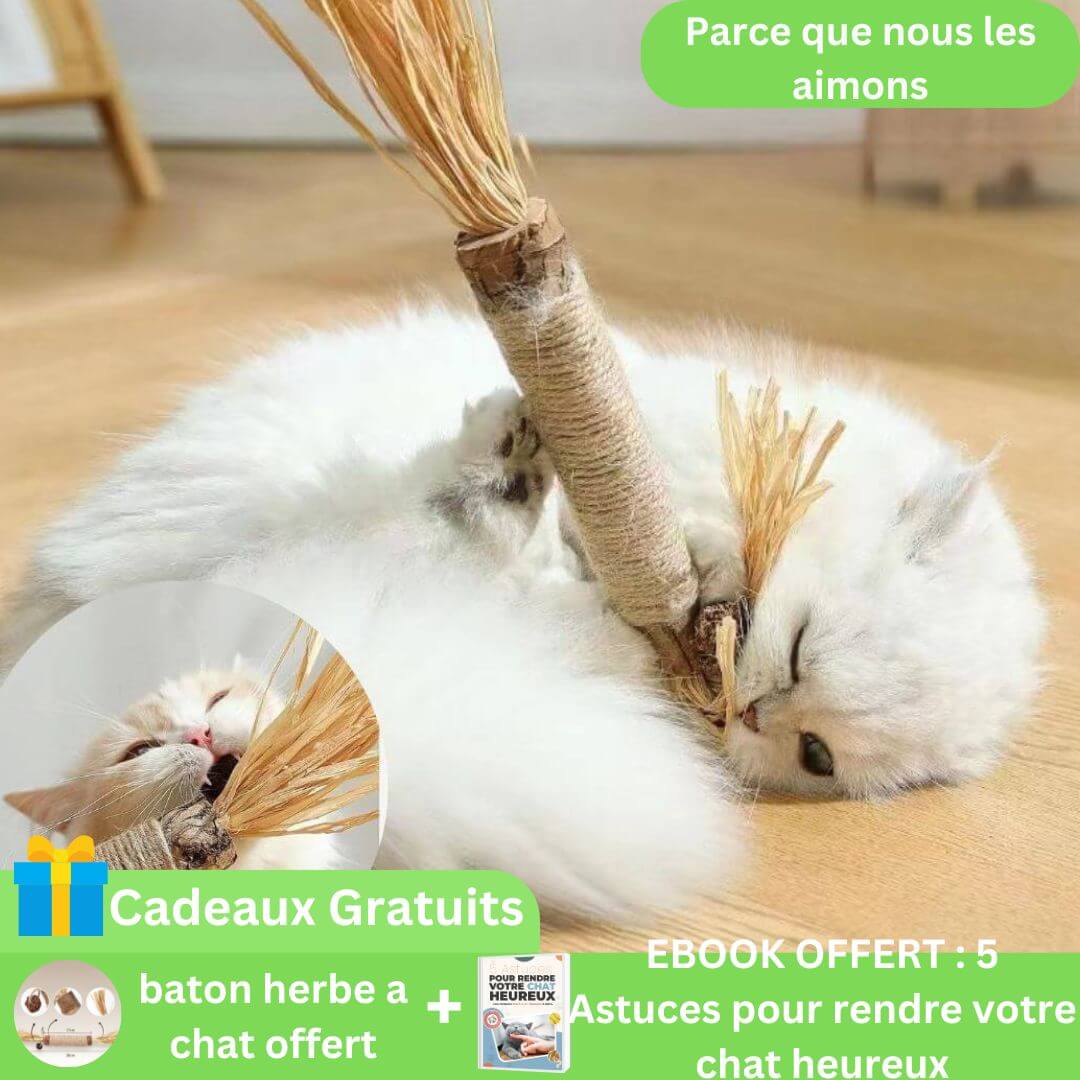 baton herbe a chat | catnip stick™ - opaschats