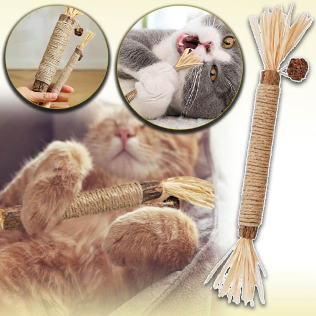 baton herbe a chat | catnip stick™ - opaschats