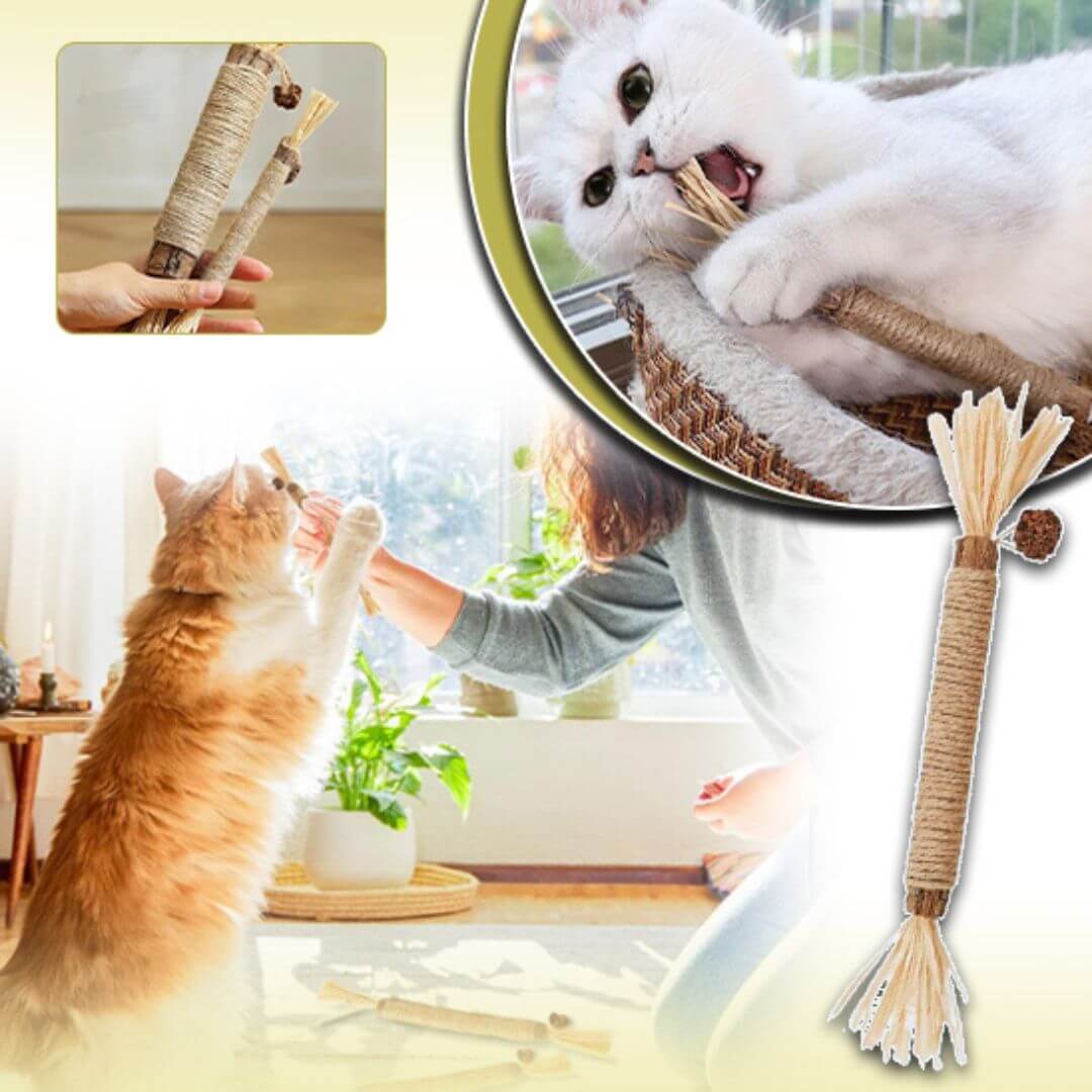 baton herbe a chat | catnip stick™ - opaschats