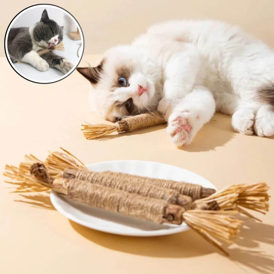 baton herbe a chat | catnip stick™ - opaschats