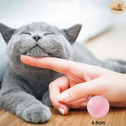 boule-anti-poil-adhésif-rose