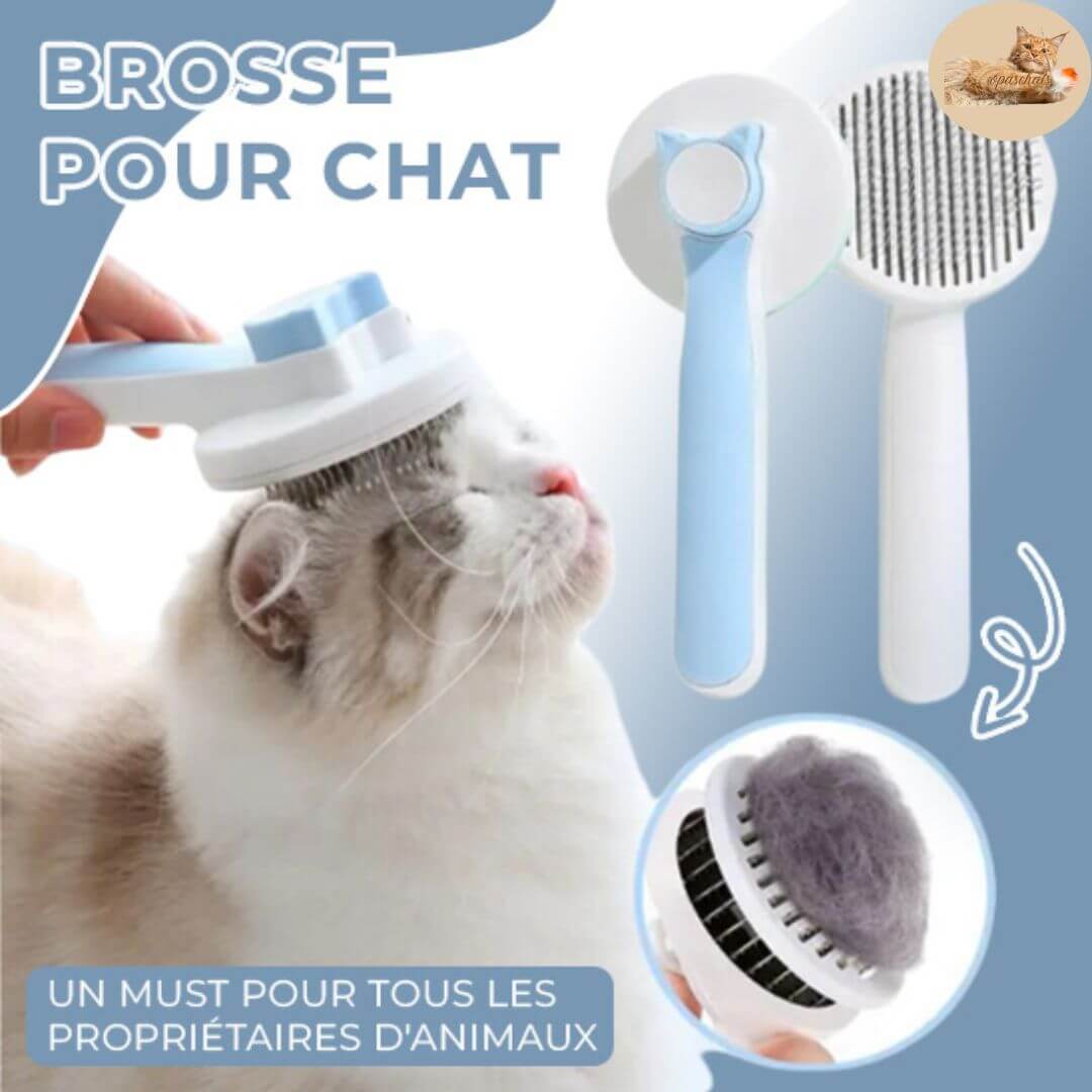 brosse anti poils | coat care™ - opaschats