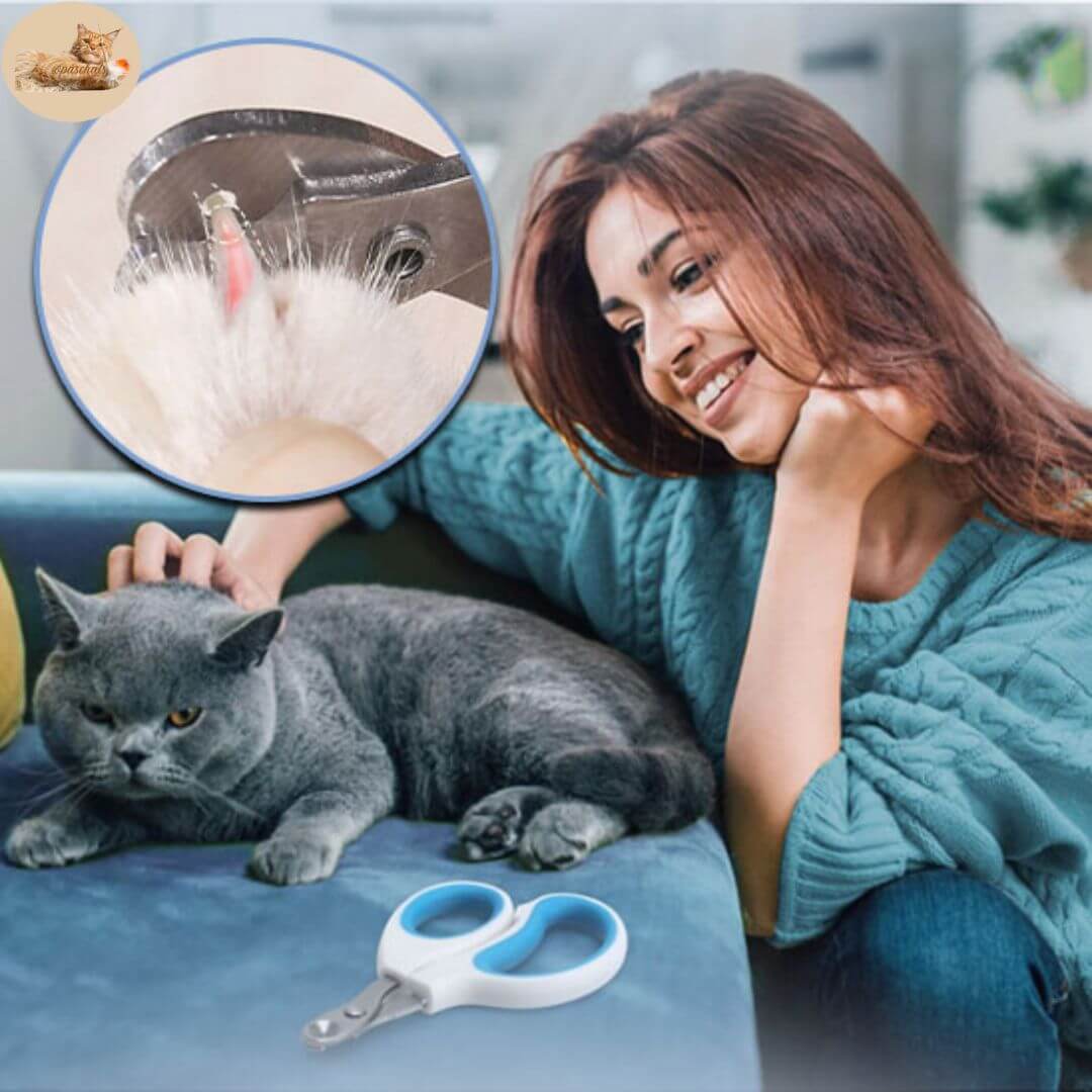 Coupe ongle pour chat - Claw master™ - opaschats