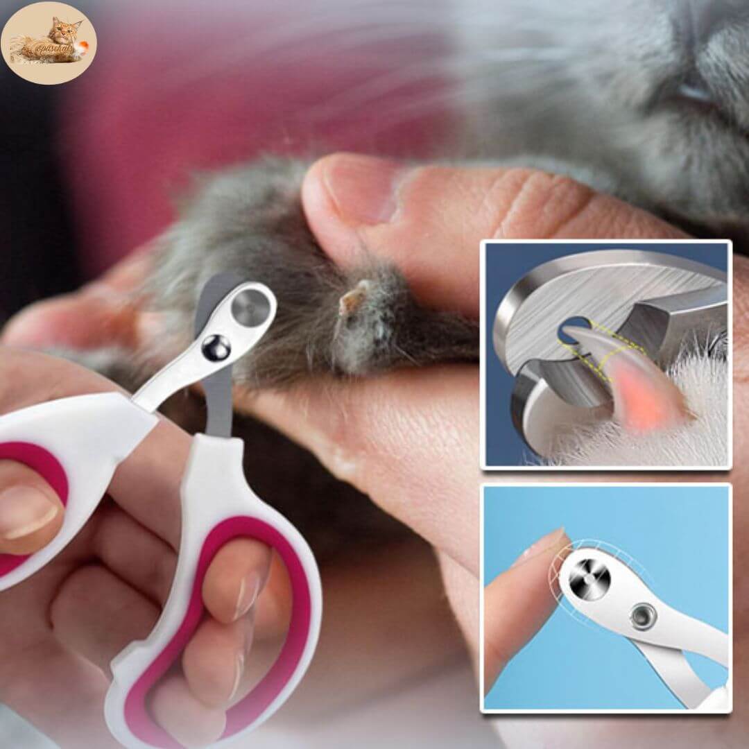 Coupe ongle pour chat - Claw master™ - opaschats