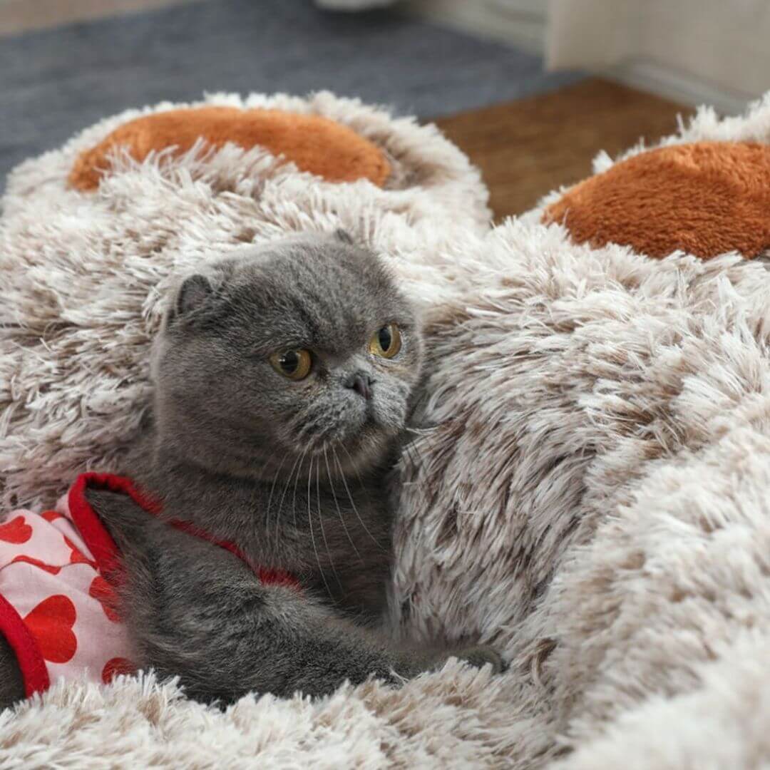 coussin chat - cat bear bed™ - opaschats