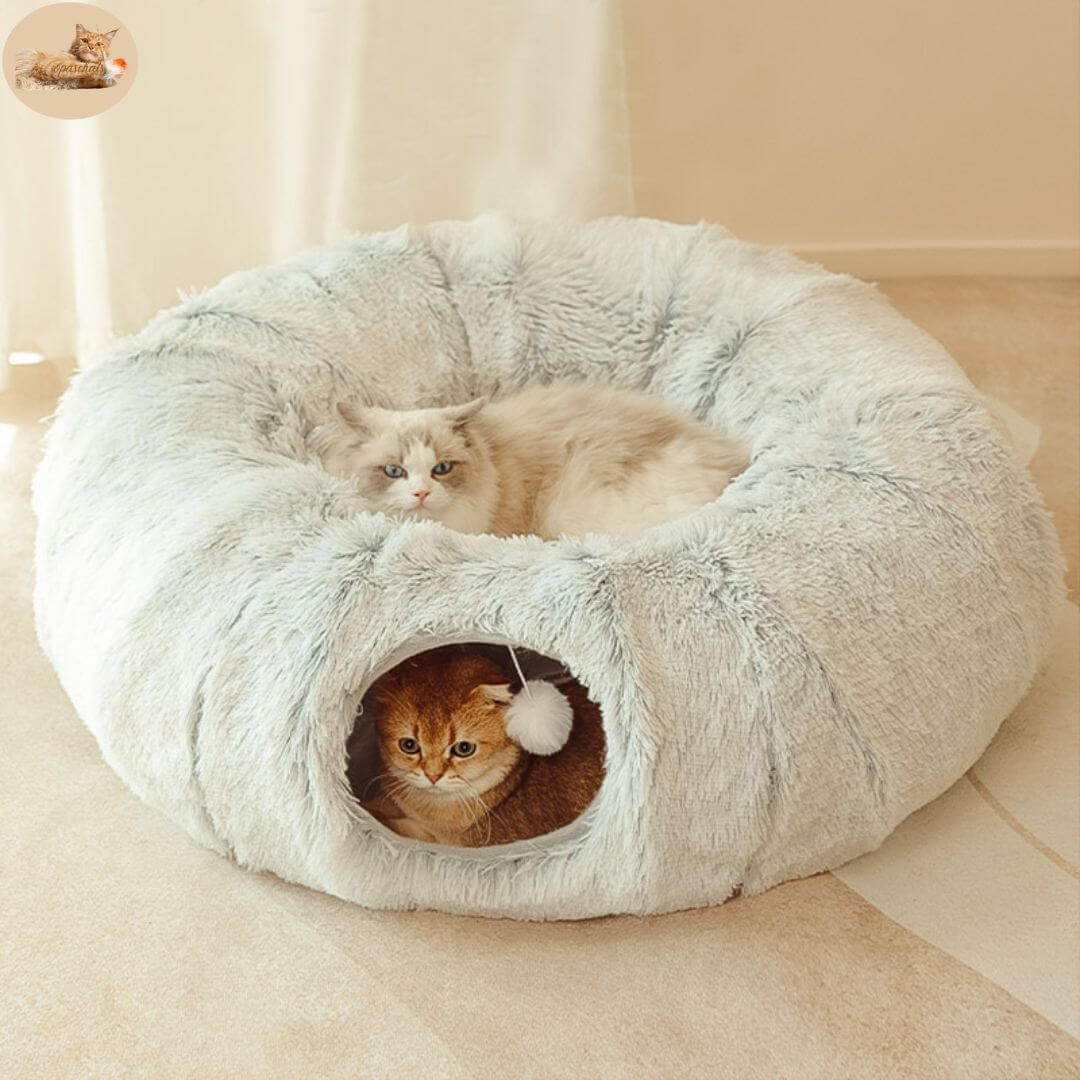 coussin chat - Cosycat™ - opaschats