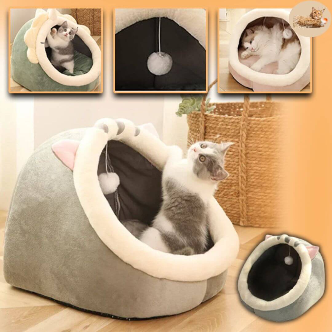 Coussin chat - Good night™ - opaschats