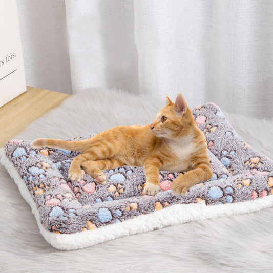 COUSSIN CHAT | Le Confort Révolutionnaire pour Votre Félin™ - opaschats