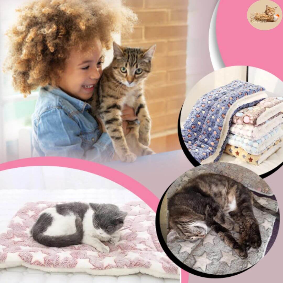 coussin chat | le royaume des chats™ - opaschats