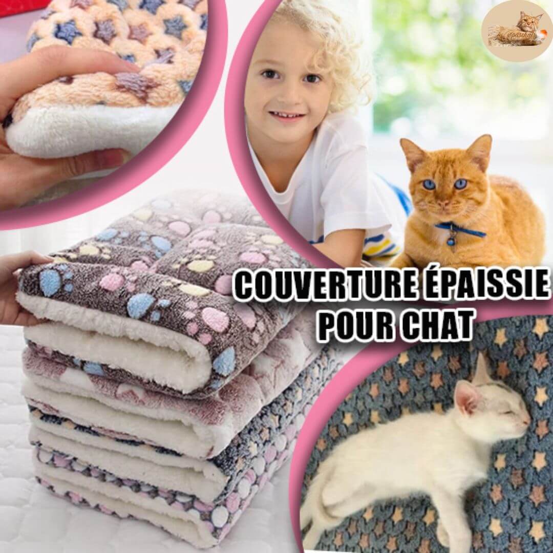 coussin chat | le royaume des chats™ - opaschats