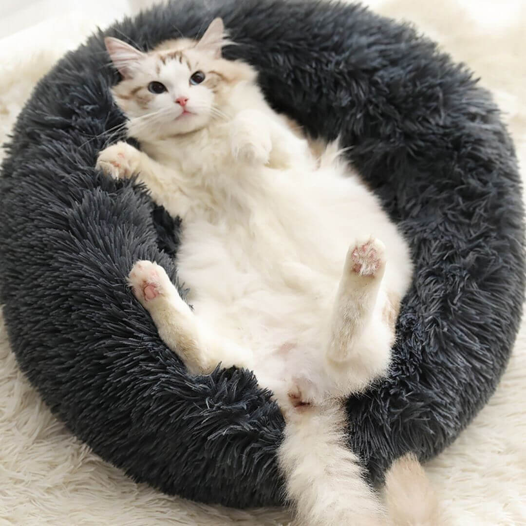 COUSSIN POUR CHAT | Cat Basket™ - opaschats