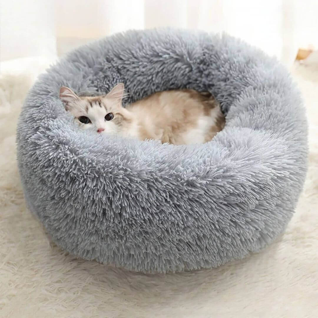COUSSIN POUR CHAT | Cat Basket™ - opaschats