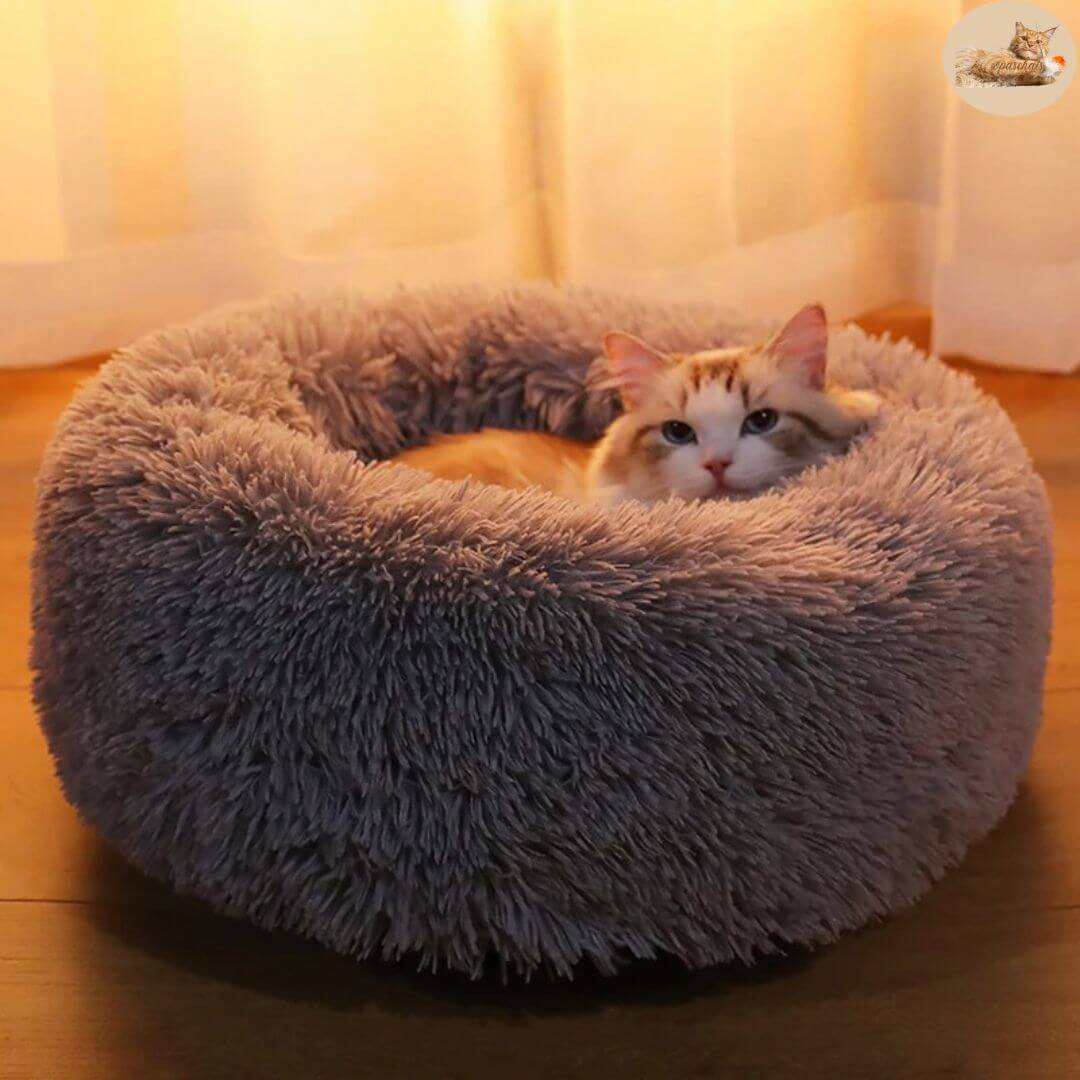 coussin pour chat | cat basket™ - opaschats