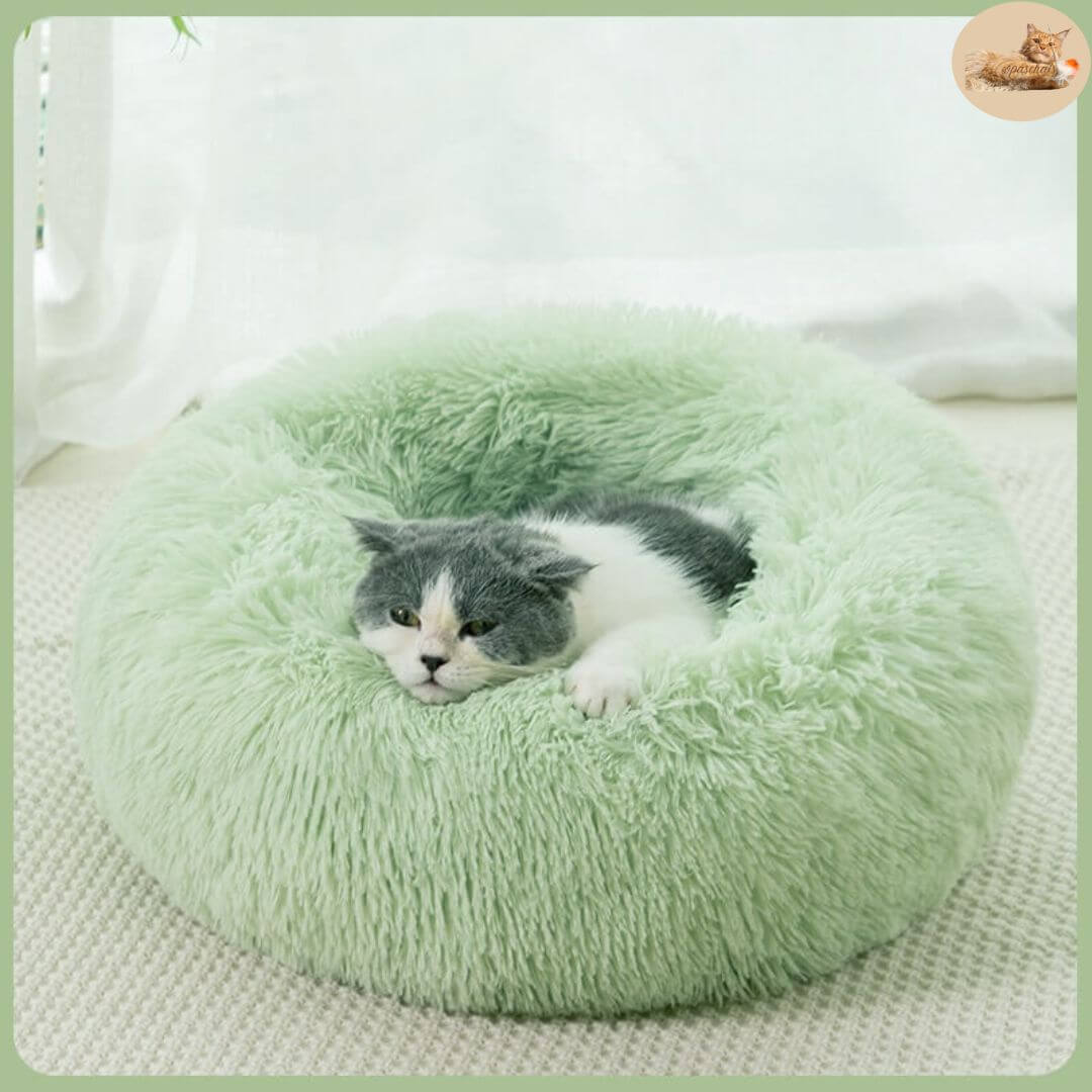 coussin pour chat | cat basket™ - opaschats