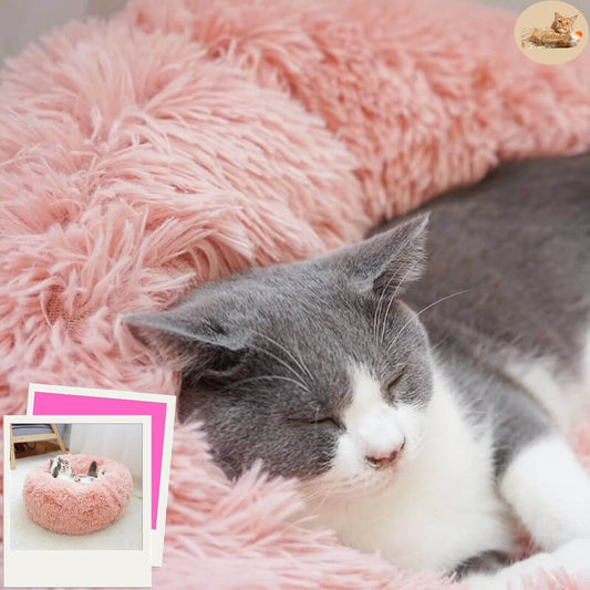 coussin pour chat | cat basket™ - opaschats