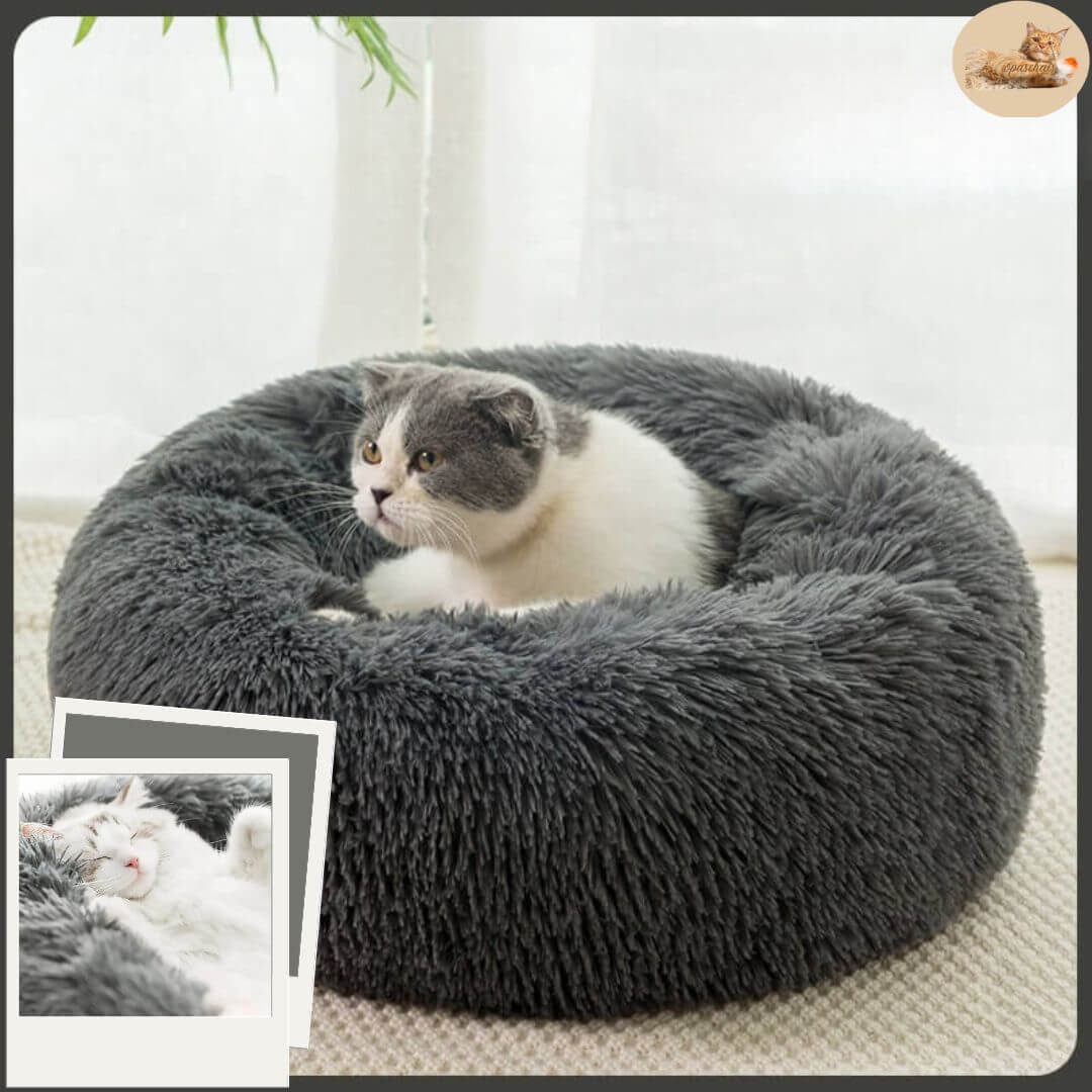 coussin pour chat | cat basket™ - opaschats