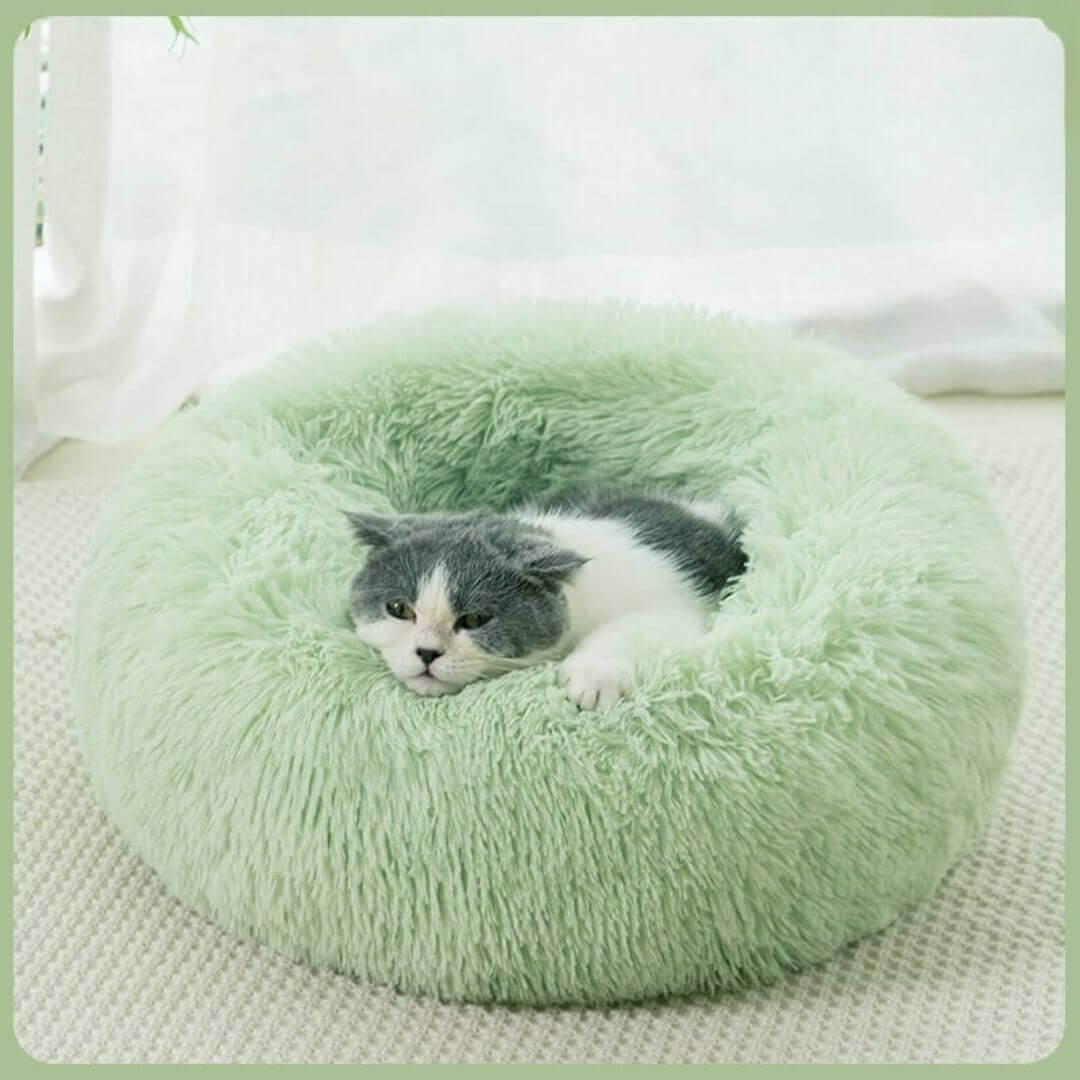 COUSSIN POUR CHAT | Cat Basket™ - opaschats