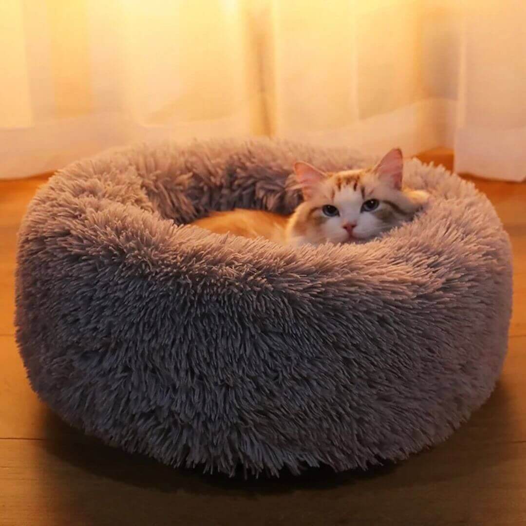 COUSSIN POUR CHAT | Cat Basket™ - opaschats