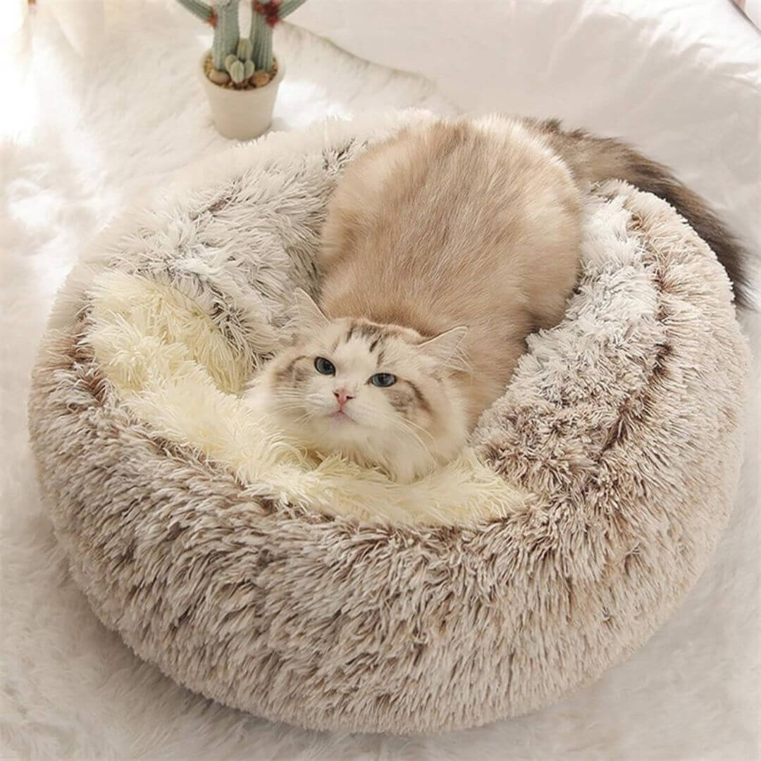 coussin pour chat - comfycatnest™ - opaschats