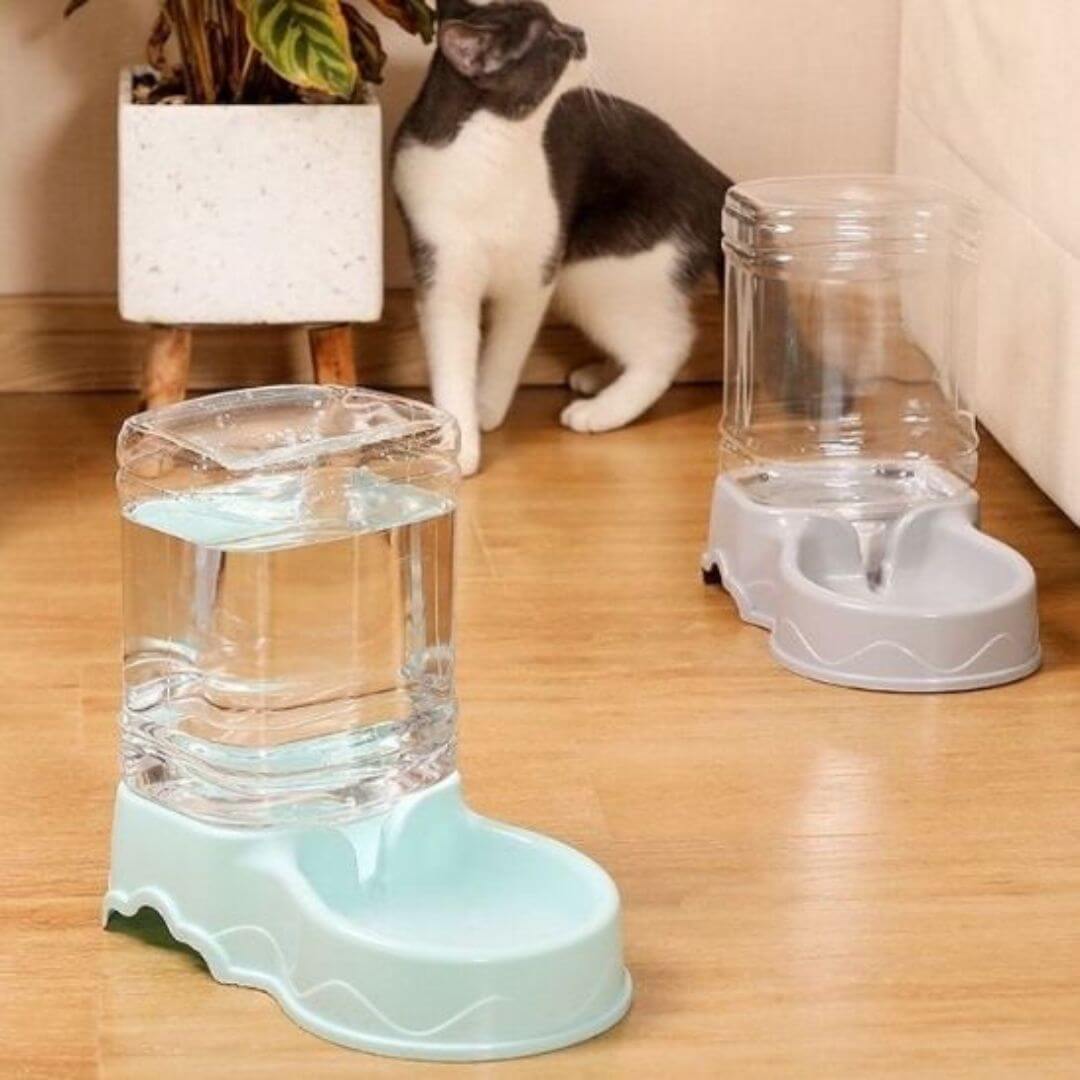 DISTRIBUTEUR CROQUETTES CHAT | PurrFeeder ™ - opaschats