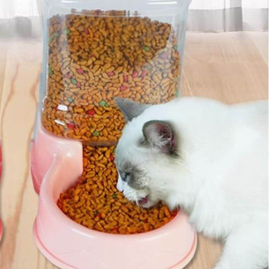 DISTRIBUTEUR CROQUETTES CHAT | PurrFeeder ™ - opaschats