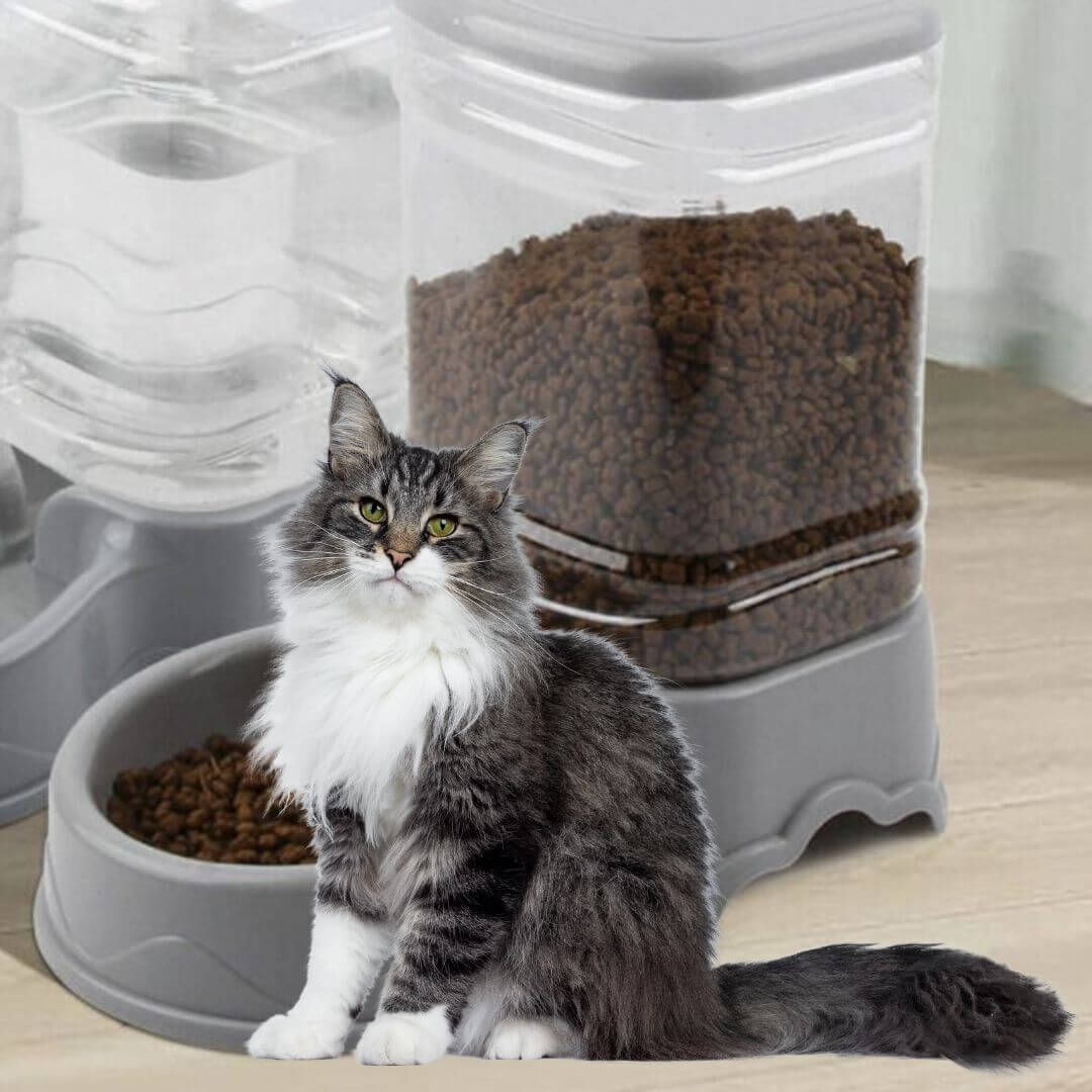DISTRIBUTEUR CROQUETTES CHAT | PurrFeeder ™ - opaschats