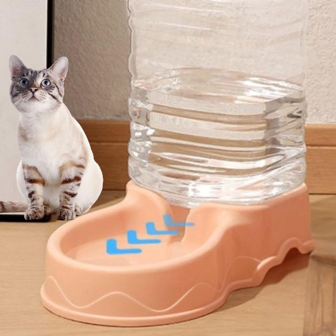 dstributeur croquettes chat rose eau