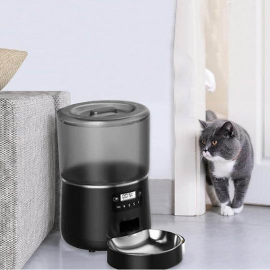 DISTRIBUTEUR CROQUETTES CHAT | Snack Time™ - opaschats