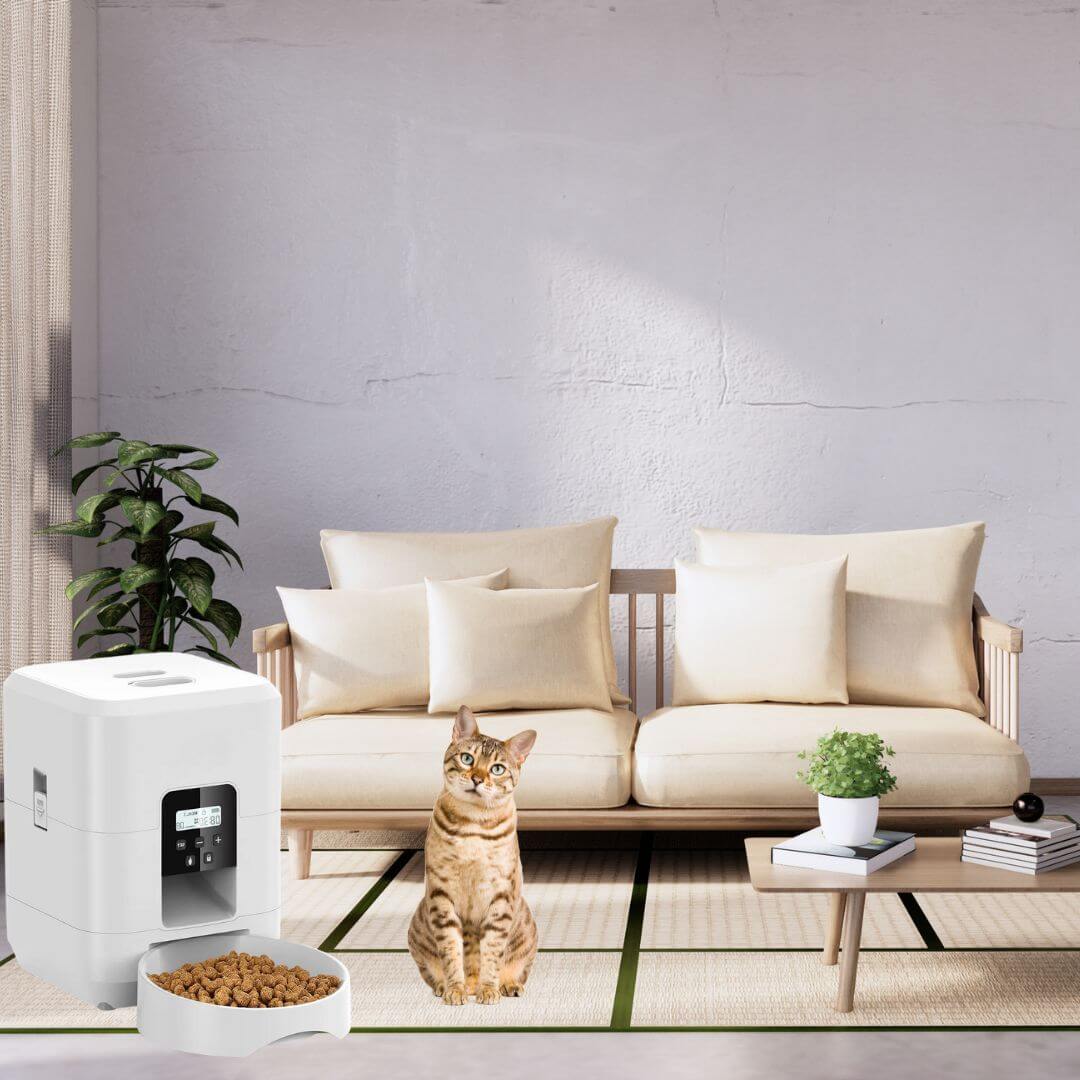 DISTRIBUTEUR DE CROQUETTES POUR CHAT | Croquettes à distance™ - opaschats
