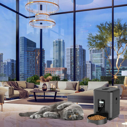 DISTRIBUTEUR DE CROQUETTES POUR CHAT | Croquettes à distance™ - opaschats