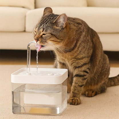 fontaine à eau chat blanche
