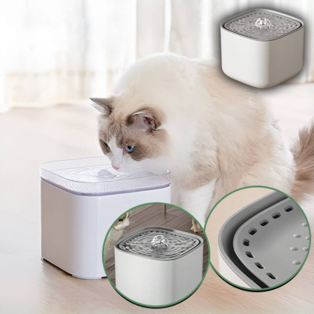 fontaine a eau chat | Chill Cat™ - opaschats