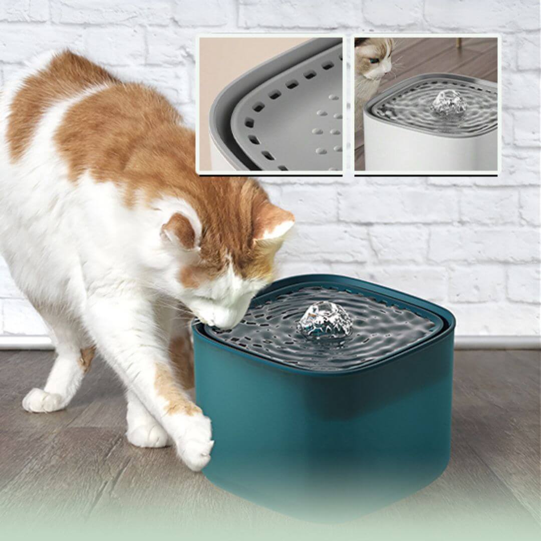 fontaine a eau chat | Chill Cat™ - opaschats