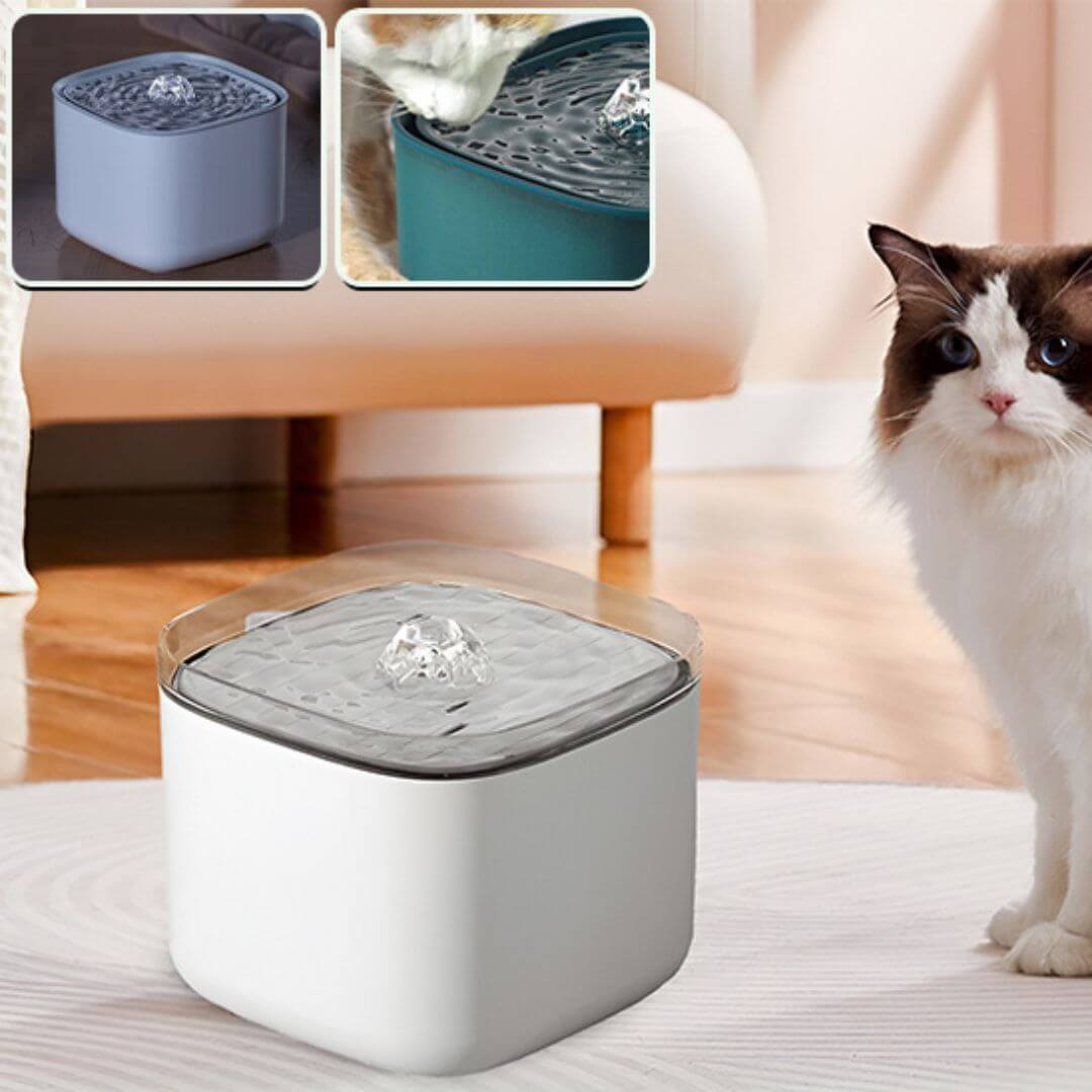 fontaine a eau chat | Chill Cat™ - opaschats