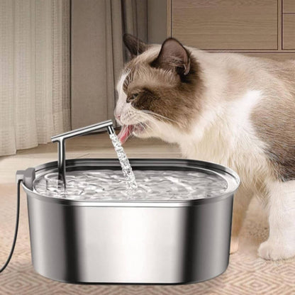 fontaine a eau chat design epure