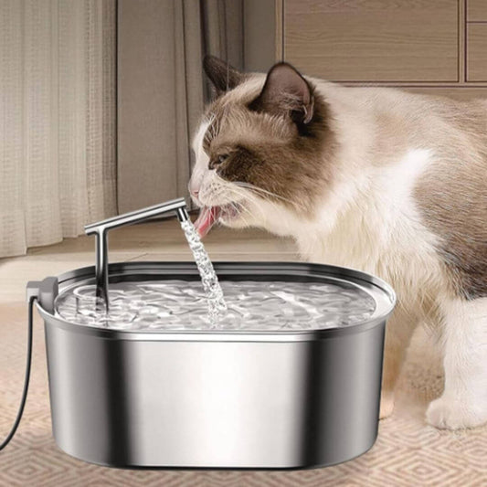 fontaine a eau chat design epure