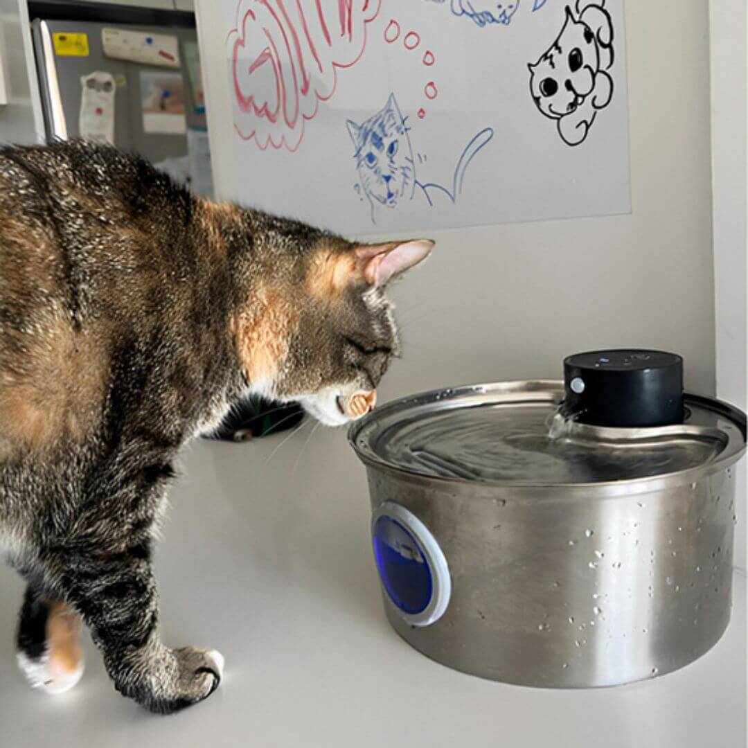 FONTAINE A EAU CHAT | Harmonie Naturel™ - opaschats