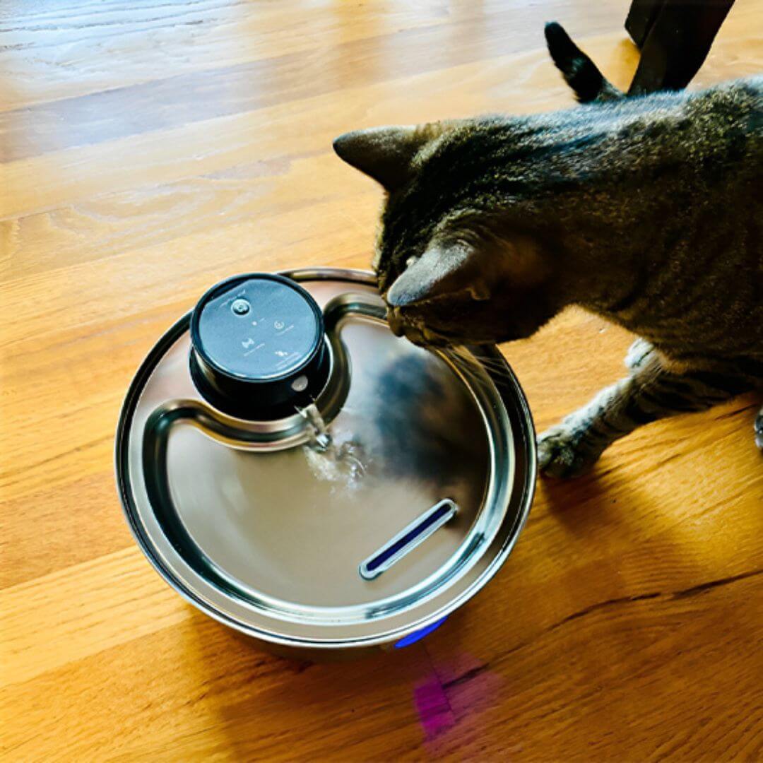 FONTAINE A EAU CHAT | Harmonie Naturel™ - opaschats