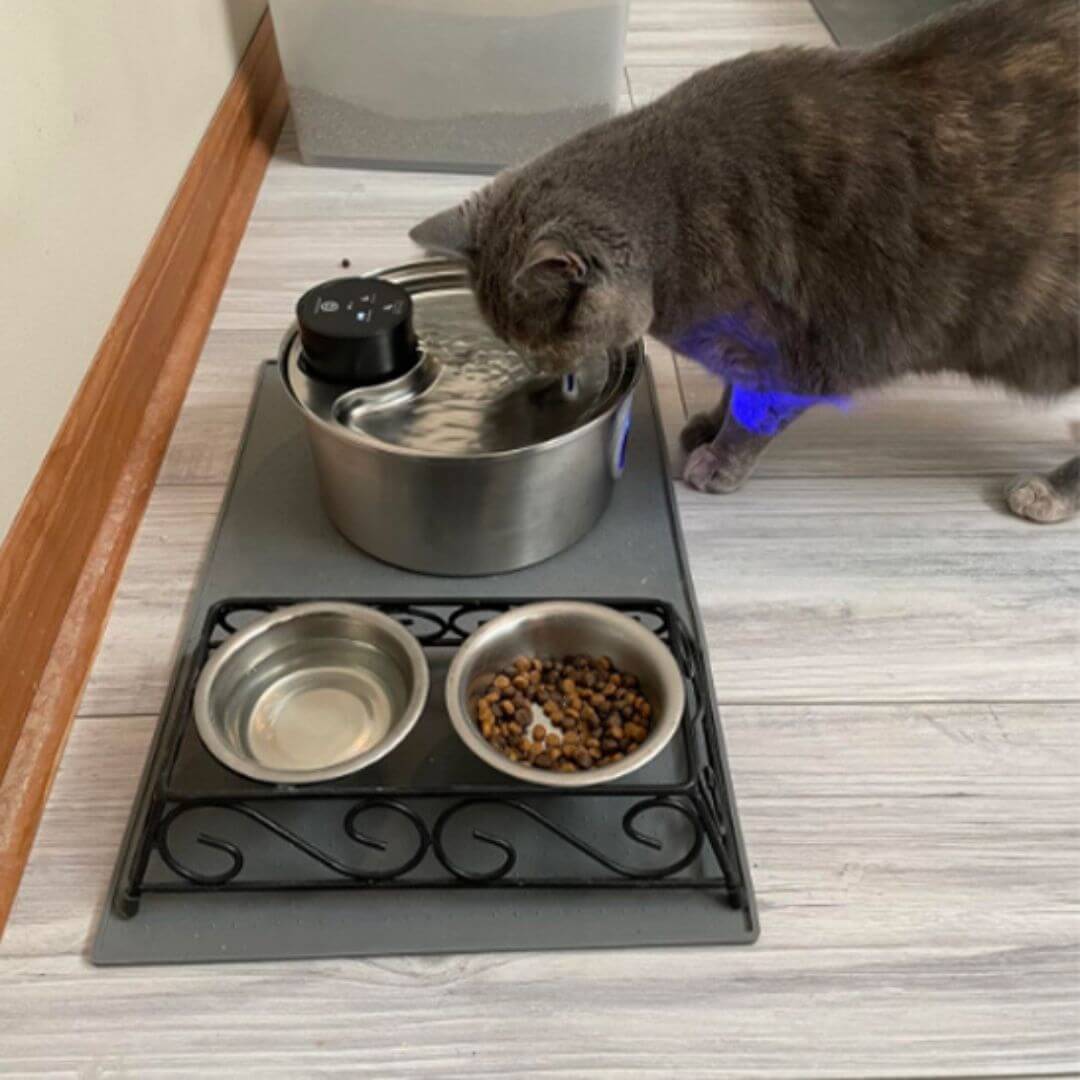 FONTAINE A EAU CHAT | Harmonie Naturel™ - opaschats