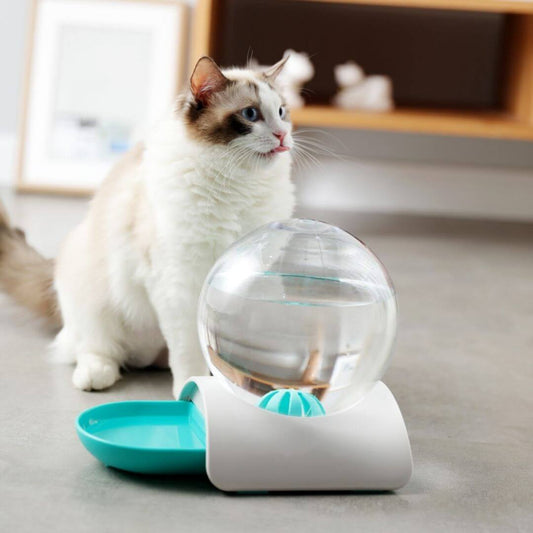 FONTAINE À EAU CHAT | Modèle Écologique™ - opaschats