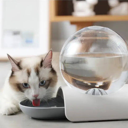 FONTAINE À EAU CHAT | Modèle Écologique™ - opaschats
